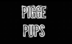 Pigge Pups